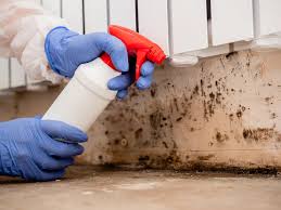 Biohazard Mold Removal in Bradley Gardens, NJ